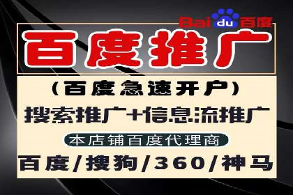 某电商企业如何通过百度竞价广告提升销售额